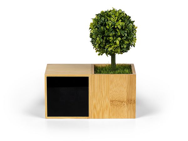 Stoni sat Evergreen 2