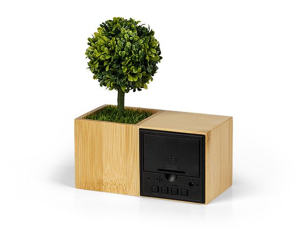 Stoni sat Evergreen 3