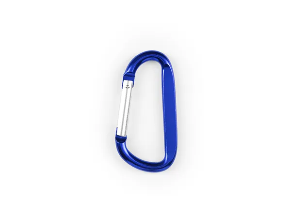Carry Mini 4