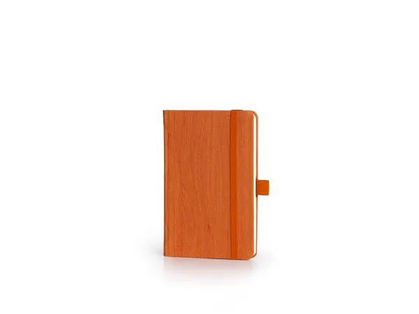 Note Pino Mini 9