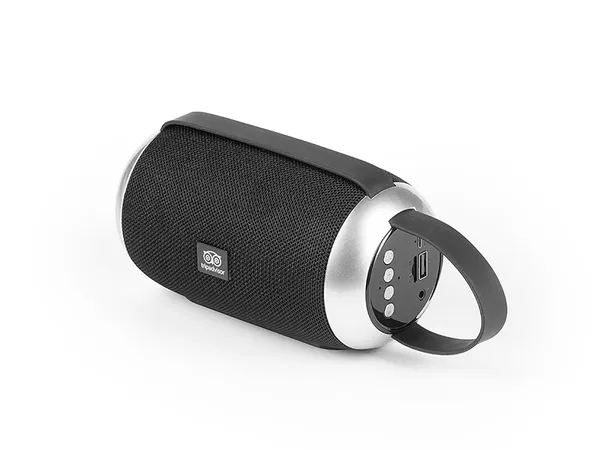 Bluetooth zvučnik Boom 2
