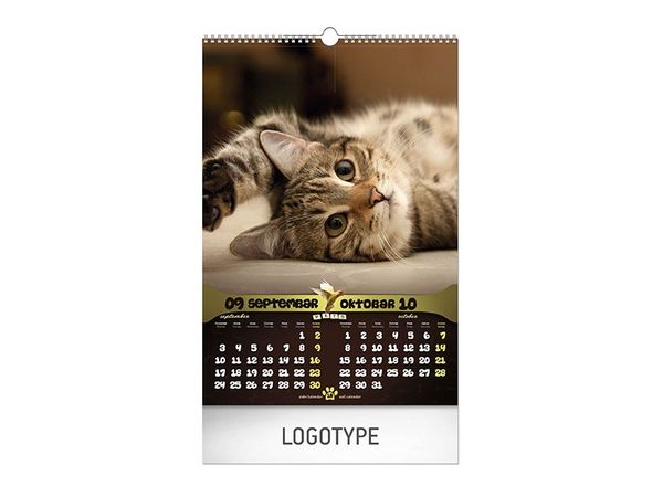 Najbolji prijatelji 6