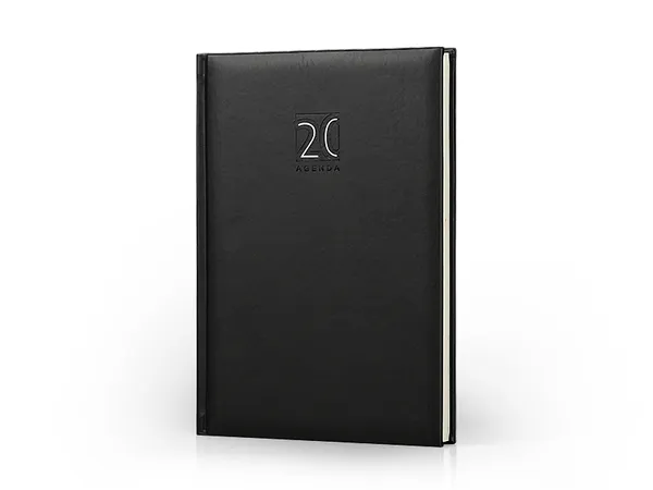 Agenda Ventura 1