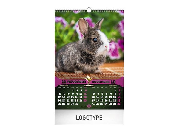 Najbolji prijatelji 7