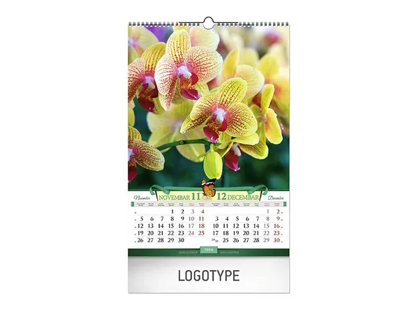 Flowers 7