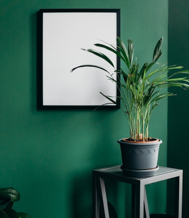 Environmental Benefits Of Eco-Friendly Posters