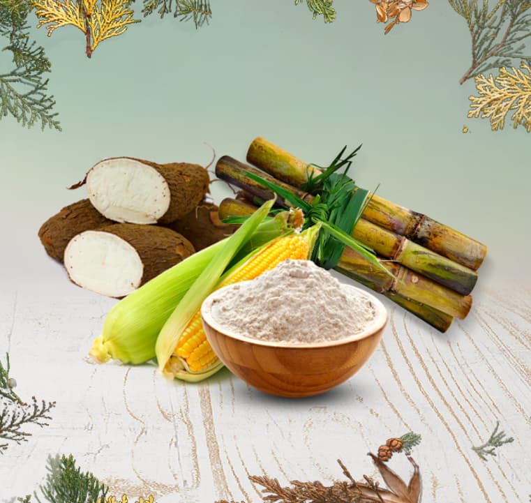 Vegatables that make up PLA