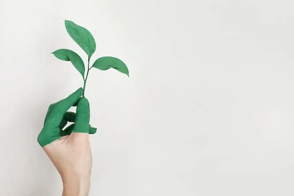 Environmental Benefits of Online Printing Services