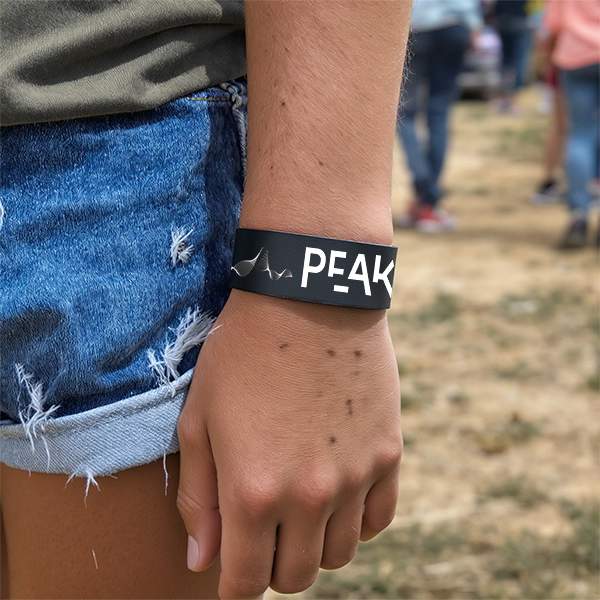 Paper wristband printing