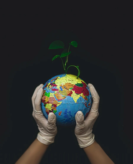 hand in globe with plant out of earth
