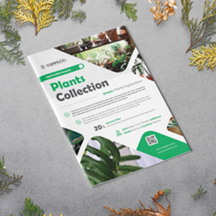 Recycled Stapled Brochure