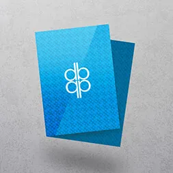 printed blue flyer sample apprintable