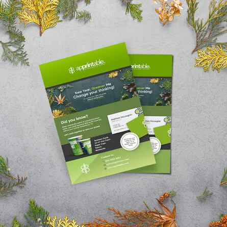 Recycled Flyers