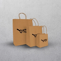Paper Bags with Twisted Handles