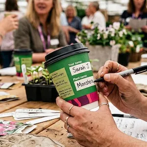 Biodegradable Paper Cups
