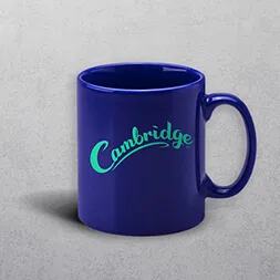 Standard Mug