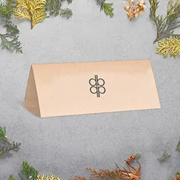 Brown Kraft Tent Cards