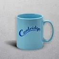 Light Blue Mug