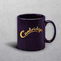 Purple Mug
