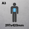 A3