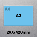 A3