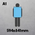 A1