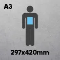 A3