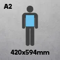 A2