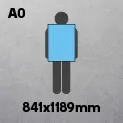 A0