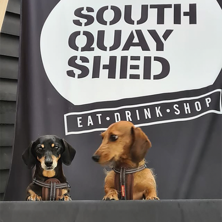 Dogs On Custom Giant Deck Chair