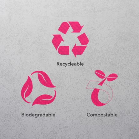 Personalised Paper Plates 3