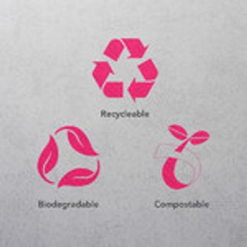 Personalised Paper Plates 3