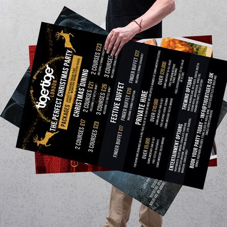 A1 Multi Version Posters