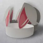 Animal Rabbit Ears