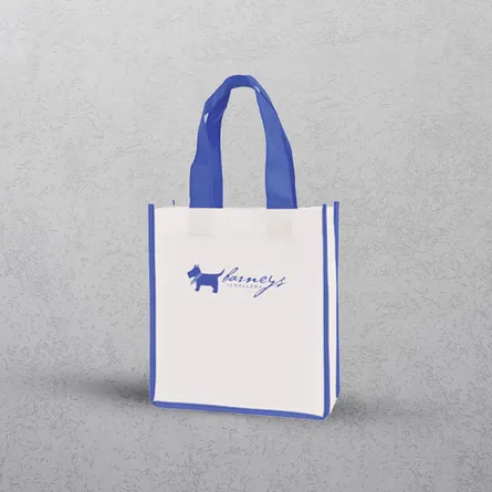 Blue Mini Contrast Shopper