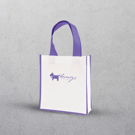 Purple Mini Contrast Shopper