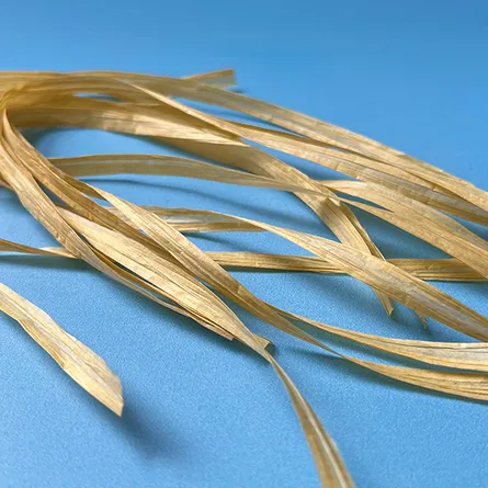 Paper Ribbon