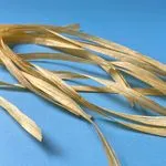 Paper Ribbon