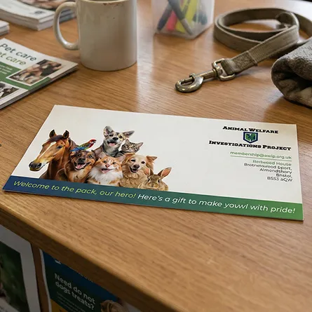 branded recycled compliments slip