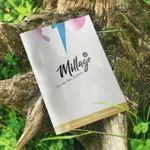 Eco Friendly Menu Brochure