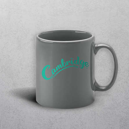 Apprintable Grey Standard Mug