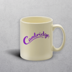 Apprintable Ivory Standard Mug