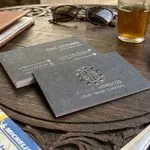 travel agent 3d spot uv business cards