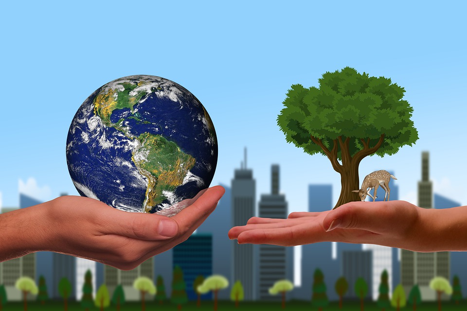 11 Eco-Friendly Ways to Promote Your Business with Sustainable Printing