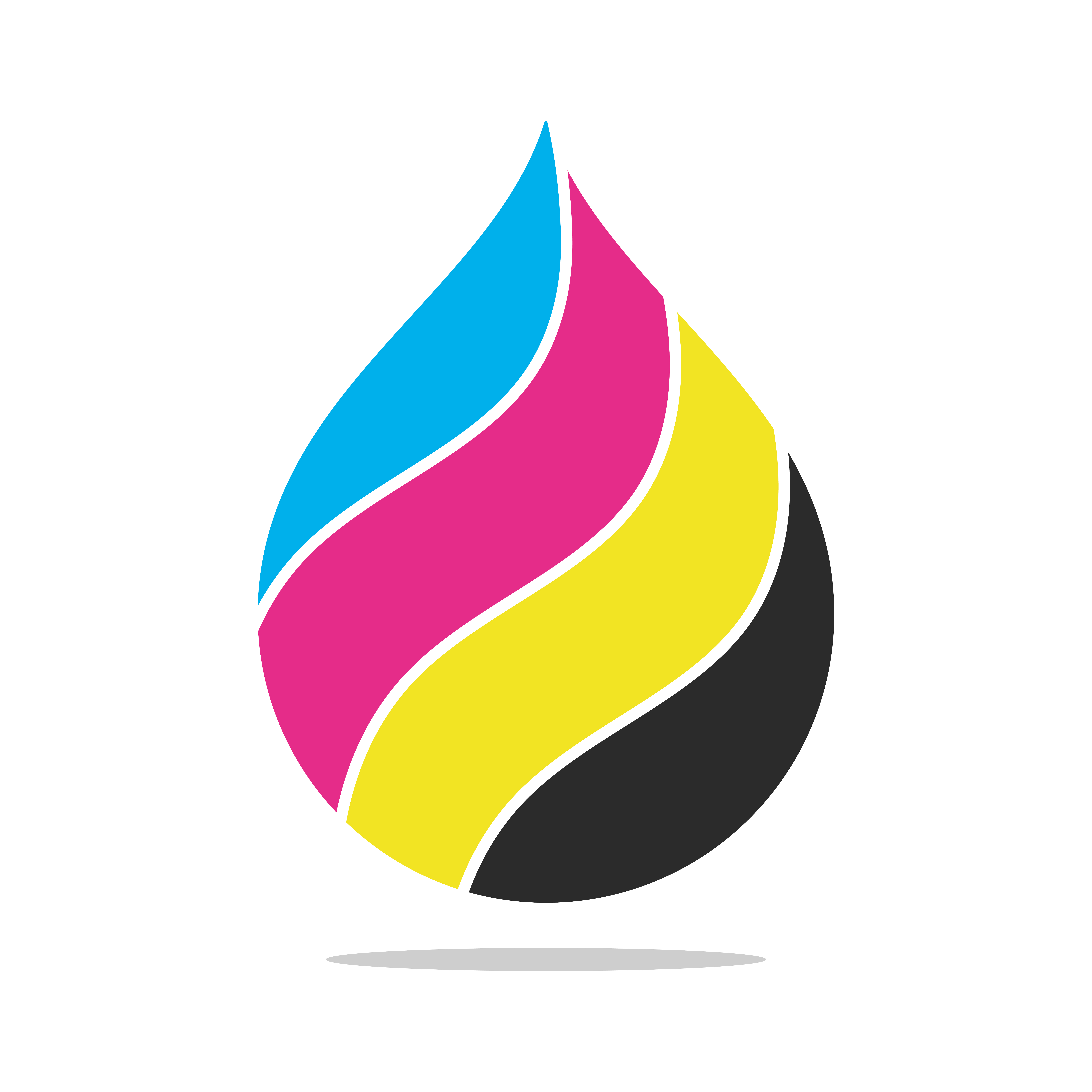 Custom Printing Icon