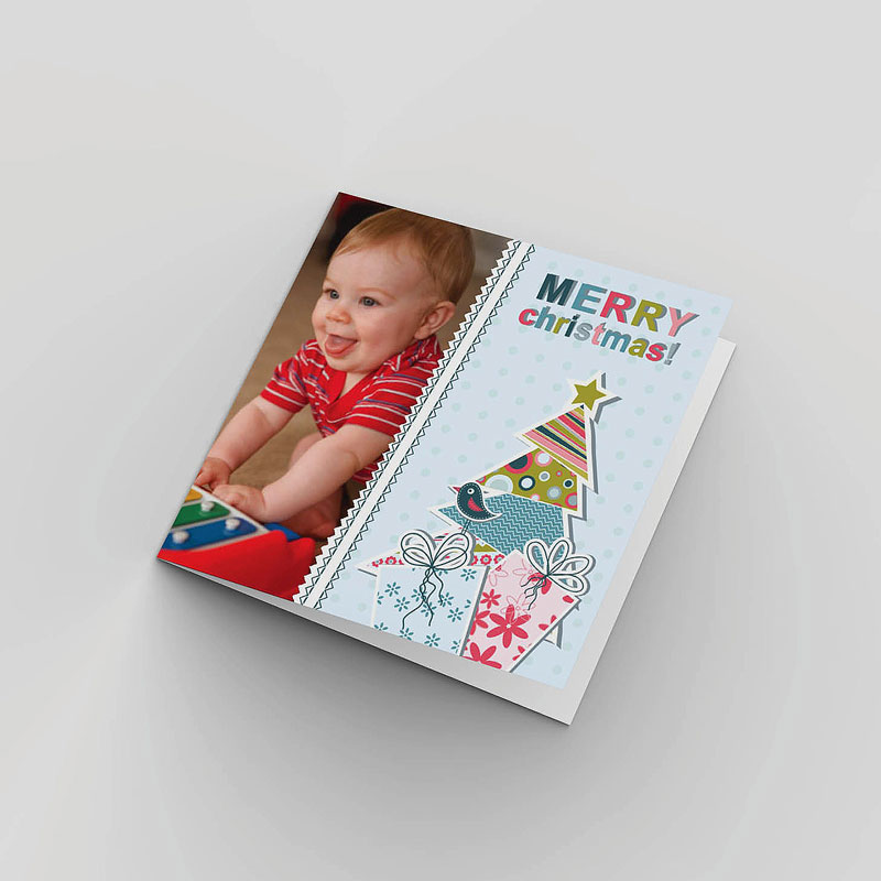 Family Christmas Cards