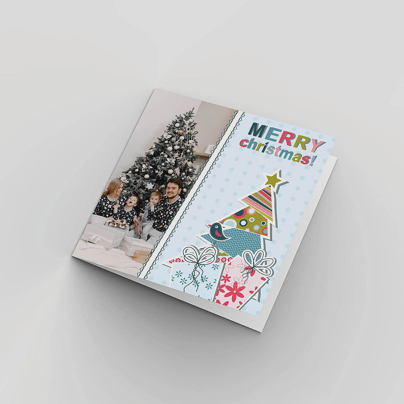 Family Christmas Cards