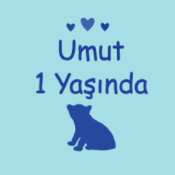 Doğum Günü
