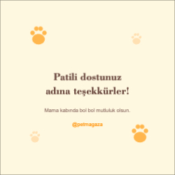Evcil Hayvan Teşekkür Kartı