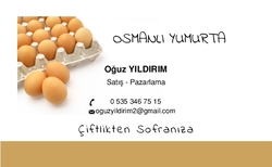 Toptan Yumurtacı Kartvizit Tasarımı